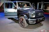 Mercedes-Benz G-class Long (W463, facelift 2018) 2018 - present