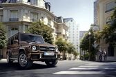 Mercedes-Benz G-class Long (W463, facelift 2015) AMG G 65 V12 (630 Hp) 4MATIC 7G-TRONIC AMG SPEEDSHIFT PLUS 2015 - 2017