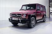 Mercedes-Benz G-class Long (W463, facelift 2015) AMG G 65 V12 (630 Hp) 4MATIC 7G-TRONIC AMG SPEEDSHIFT PLUS 2015 - 2017