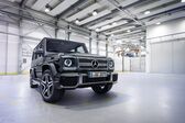 Mercedes-Benz G-class Long (W463, facelift 2015) G 500 V8 (422 Hp) 4x4² 7G-TRONIC 2015 - 2017