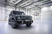 Mercedes-Benz G-class Long (W463, facelift 2015) AMG G 65 V12 (630 Hp) 4MATIC 7G-TRONIC AMG SPEEDSHIFT PLUS 2015 - 2017