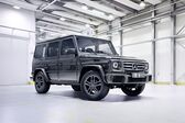 Mercedes-Benz G-class Long (W463, facelift 2015) AMG G 65 V12 (630 Hp) 4MATIC 7G-TRONIC AMG SPEEDSHIFT PLUS 2015 - 2017