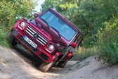 Mercedes-Benz G-class Long (W463, facelift 2015) 2015 - 2017