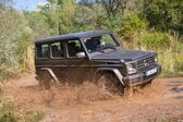 Mercedes-Benz G-class Long (W463, facelift 2015) G 500 V8 (422 Hp) 4x4² 7G-TRONIC 2015 - 2017