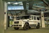 Mercedes-Benz G-class Long (W463, facelift 2015) 2015 - 2017