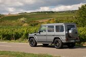 Mercedes-Benz G-class Long (W463, facelift 2015) AMG G 65 V12 (630 Hp) 4MATIC 7G-TRONIC AMG SPEEDSHIFT PLUS 2015 - 2017