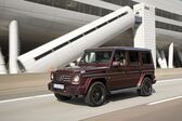 Mercedes-Benz G-class Long (W463, facelift 2015) AMG G 65 V12 (630 Hp) 4MATIC 7G-TRONIC AMG SPEEDSHIFT PLUS 2015 - 2017