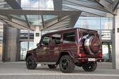 Mercedes-Benz G-class Long (W463, facelift 2015) AMG G 65 V12 (630 Hp) 4MATIC 7G-TRONIC AMG SPEEDSHIFT PLUS 2015 - 2017