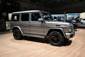 Mercedes-Benz G-class Long (W463, facelift 2015) 2015 - 2017