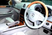 Mercedes-Benz GL (X164) GL 320 CDI (224 Hp) 4MATIC G-TRONIC 2006 - 2008