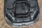 Mercedes-Benz GLC SUV (X253, facelift 2019) GLC 300 (258 Hp) EQ Boost 4MATIC G-TRONIC 2019 - present