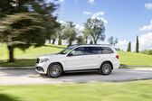 Mercedes-Benz GLS (X166) AMG GLS 63 (585 Hp) 4MATIC G-TRONIC 2015 - 2019