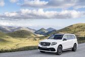 Mercedes-Benz GLS (X166) GLS 350d (258 Hp) 4MATIC G-TRONIC 2015 - 2019