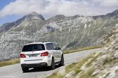 Mercedes-Benz GLS (X166) GLS 500 (456 Hp) 4MATIC G-TRONIC 2015 - 2019