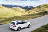 Mercedes-Benz GLS (X166) GLS 350d (258 Hp) 4MATIC G-TRONIC 2015 - 2019