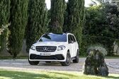 Mercedes-Benz GLS (X166) GLS 350d (258 Hp) 4MATIC G-TRONIC 2015 - 2019