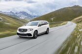 Mercedes-Benz GLS (X166) GLS 500 (456 Hp) 4MATIC G-TRONIC 2015 - 2019