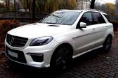 Mercedes-Benz M-class (W166) ML 500 (408 Hp) 4MATIC G-TRONIC 2012 - 2015