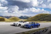 Mercedes-Benz SL (R231, facelift 2016) AMG SL 63 V8 (585 Hp) MCT 2016 - 2018