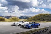 Mercedes-Benz SL (R231, facelift 2016) AMG SL 63 V8 (571 Hp) SPEEDSHIFT MCT 2018 - 2019