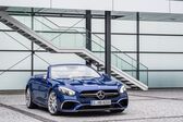 Mercedes-Benz SL (R231, facelift 2016) SL 500 V8 (455 Hp) 9G-TRONIC PLUS 2019 - present