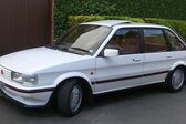 MG Maestro 1983 - 1990