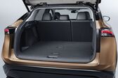 Nissan Ariya 65 kWh (279 Hp) e-4ORCE 2020 - present