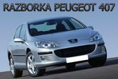 Peugeot 407 1.8 i 16V (116 Hp) 2004 - 2005