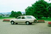 Peugeot 504 Break 1971 - 1986