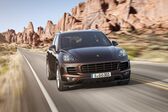 Porsche Cayenne II  (facelift 2014) S 3.0 V6 (416 Hp) E-Hybrid Tiptronic 2014 - 2017