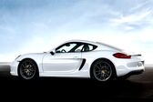 Porsche Cayman (981c) GTS 3.4 (340 Hp) PDK 2014 - 2016