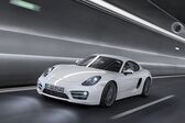 Porsche Cayman (981c) S 3.4 (325 Hp) 2013 - 2016