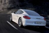 Porsche Cayman (981c) 2013 - 2016