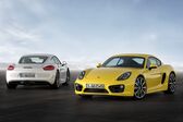 Porsche Cayman (981c) S 3.4 (325 Hp) 2013 - 2016