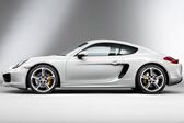 Porsche Cayman (981c) 2013 - 2016