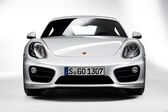 Porsche Cayman (981c) 2013 - 2016