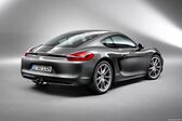 Porsche Cayman (981c) GTS 3.4 (340 Hp) PDK 2014 - 2016