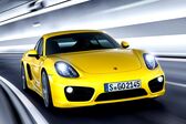 Porsche Cayman (981c) S 3.4 (325 Hp) 2013 - 2016