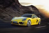 Porsche Cayman (981c) 2013 - 2016