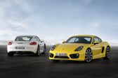 Porsche Cayman (981c) S 3.4 (325 Hp) 2013 - 2016