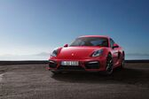 Porsche Cayman (981c) S 3.4 (325 Hp) 2013 - 2016