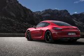 Porsche Cayman (981c) S 3.4 (325 Hp) 2013 - 2016