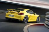 Porsche Cayman (981c) GTS 3.4 (340 Hp) PDK 2014 - 2016