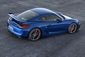 Porsche Cayman (981c) S 3.4 (325 Hp) 2013 - 2016