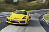 Porsche Cayman (981c) S 3.4 (325 Hp) 2013 - 2016