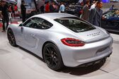 Porsche Cayman (981c) 2013 - 2016