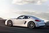 Porsche Cayman (981c) 2013 - 2016