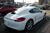 Porsche Cayman (981c) S 3.4 (325 Hp) 2013 - 2016