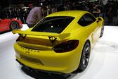 Porsche Cayman (981c) 2013 - 2016