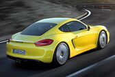 Porsche Cayman (981c) 2013 - 2016